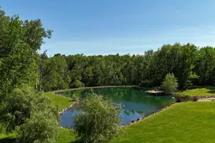 9893 Bluff Dr, Pittsville, WI 54466 - Photo 29