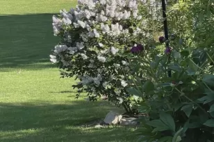 9893 Bluff Dr, Pittsville, WI 54466 - Photo 37