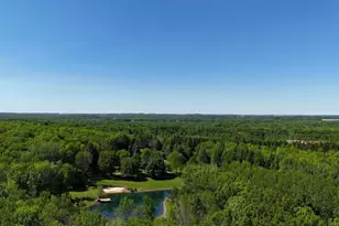 9893 Bluff Dr, Pittsville, WI 54466 - Photo 33
