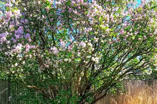 1160 Lakewood Ln, Wisconsin Rapids, WI 54494 - Photo 35