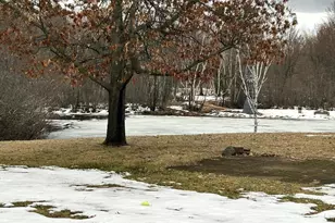 6105 Morning View Ln, Weston, WI 54476 - Photo 3