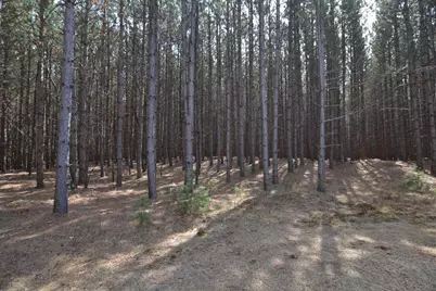 1170 90th Street North, Wisconsin Rapids, WI 54494 - Photo 17