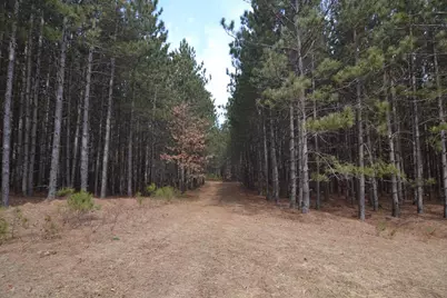 1170 90th Street North, Wisconsin Rapids, WI 54494 - Photo 7