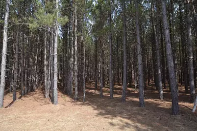 1170 90th Street North, Wisconsin Rapids, WI 54494 - Photo 19