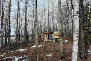 N12815 Sailor Lake Rd, Park Falls, WI 54552 - Photo 3