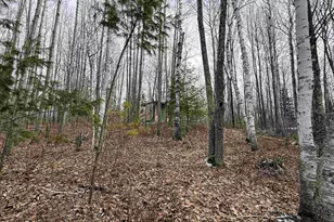 N12815 Sailor Lake Rd, Park Falls, WI 54552 - Photo 17