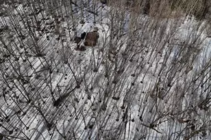 W1438 Country Squire Rd, Gleason, WI 54435 - Photo 21