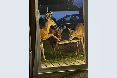 2410 Sturdevant Street, Merrill, WI 54452 - Photo 57