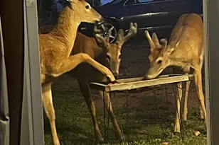 2410 Sturdevant St, Merrill, WI 54452 - Photo 57