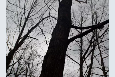 5404 Yetter Road, Pittsville, WI 54466 - Photo 25