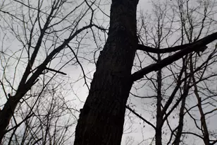 5404 Yetter Rd, Pittsville, WI 54466 - Photo 25