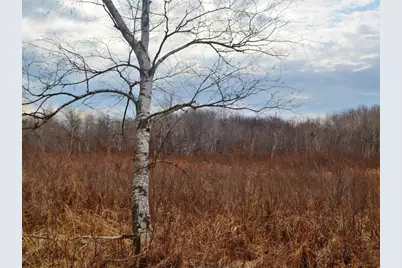 5404 Yetter Road, Pittsville, WI 54466 - Photo 23