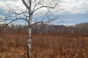 5404 Yetter Rd, Pittsville, WI 54466 - Photo 23