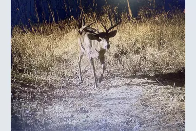 166483 County Road Z, Wausau, WI 54403 - Photo 41