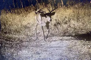 166483 Co Rd Z, Wausau, WI 54403 - Photo 41