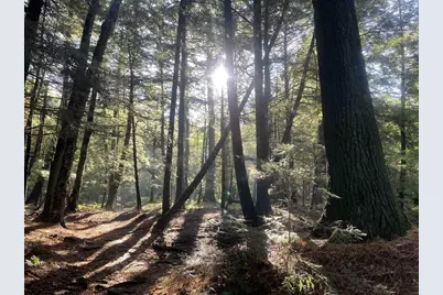 166483 County Road Z, Wausau, WI 54403 - Photo 35