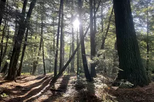 166483 Co Rd Z, Wausau, WI 54403 - Photo 35