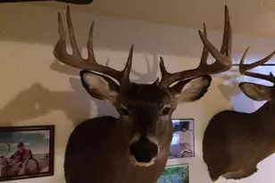 166483 Co Rd Z, Wausau, WI 54403 - Photo 39