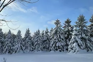 166483 Co Rd Z, Wausau, WI 54403 - Photo 51