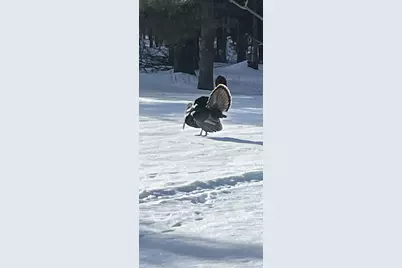 166483 County Road Z, Wausau, WI 54403 - Photo 43