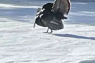 166483 Co Rd Z, Wausau, WI 54403 - Photo 43