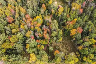 N12668 Hicks Landing Rd, Fifield, WI 54524 - Photo 3