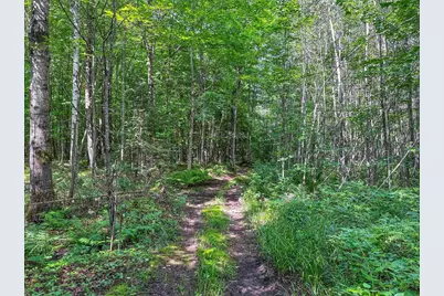 93.89A On Kundinger Road, Park Falls, WI 54552 - Photo 17