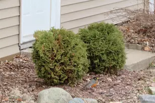 700 N Mill St, Merrill, WI 54452 - Photo 41