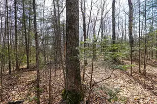 N8584 County Road E, Westboro, WI 54490 - Photo 27