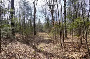 N8584 County Road E, Westboro, WI 54490 - Photo 21