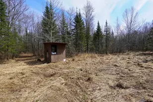 N8584 County Road E, Westboro, WI 54490 - Photo 23