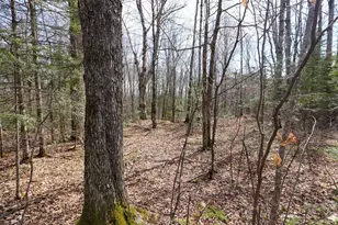 N8584 County Road E, Westboro, WI 54490 - Photo 21