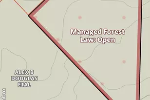 3246 Clausen Rd, Rhinelander, WI 54501 - Photo 21