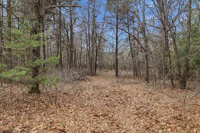 3.99 Acres Harding Road, Plainfield, WI 54966 - Photo 3