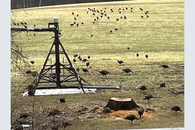 E1517 Johnson Road, Iola, WI 54945 - Photo 57