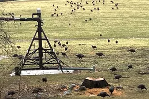 E1517 Johnson Rd, Iola, WI 54945 - Photo 57