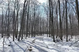 E1517 Johnson Rd, Iola, WI 54945 - Photo 41