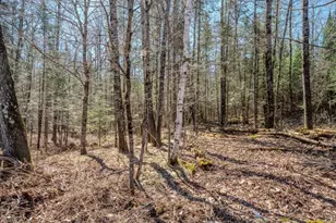 N10688 Tomptabo Rd, Gleason, WI 54435 - Photo 33
