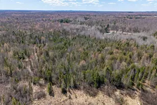N11338 Co Rd YY, Tripoli, WI 54564 - Photo 27
