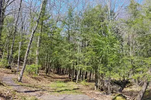 N5044 Lang Farm Dr, Medford, WI 54451 - Photo 23