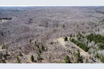 45 Acres Turtle Lake Road, Lily, WI 54491 - Photo 7