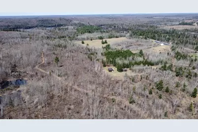 45 Acres Turtle Lake Road, Lily, WI 54491 - Photo 3