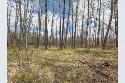 N9868 Woodland Lane, Phillips, WI 54555 - Photo 37