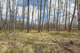 N9868 Woodland Ln, Phillips, WI 54555 - Photo 37