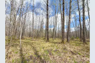 N9868 Woodland Lane, Phillips, WI 54555 - Photo 7