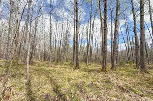 N9868 Woodland Ln, Phillips, WI 54555 - Photo 7