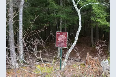 W1086 Tall Pine Trail, Gleason, WI 54435 - Photo 13