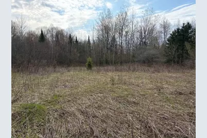 242681 Tobias Road, Aniwa, WI 54408 - Photo 3