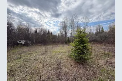 242681 Tobias Road, Aniwa, WI 54408 - Photo 5