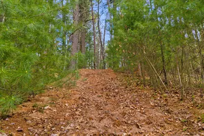 Lot 42 South Bluff Trail, Wisconsin Rapids, WI 54494 - Photo 17